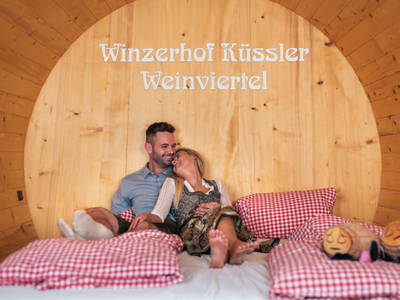 Bild 11 aus  Winzerhof Küssler, Weinviertel