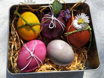 Bild 29 aus  Ferienhaus Weinmeyer 