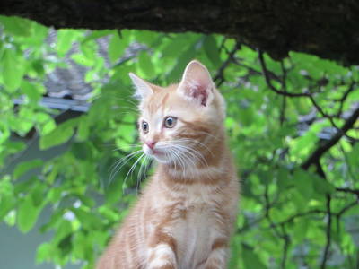 Bild 57 aus  Jörgleggerhof