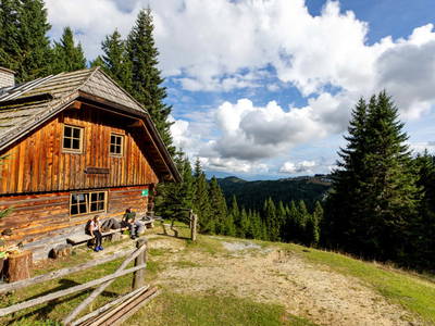 Bild 231 aus  Bischofhütten