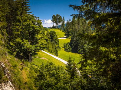 Bild 34 aus  Premhof