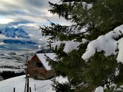 Bild 75 aus  Biobauernhof Thonnerhof