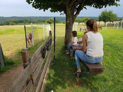 Ruhe mit Aussicht auf die Weide