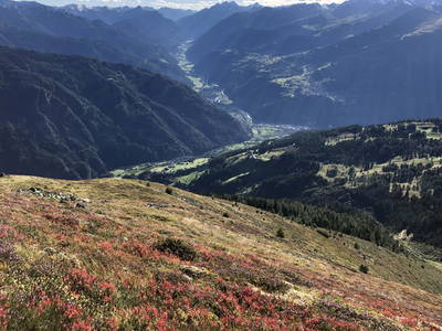 Bild 25 aus  Haus Wille