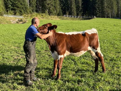 Bild 23 aus  Peterlehen