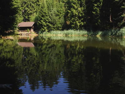 Bild 44 aus  Klieber