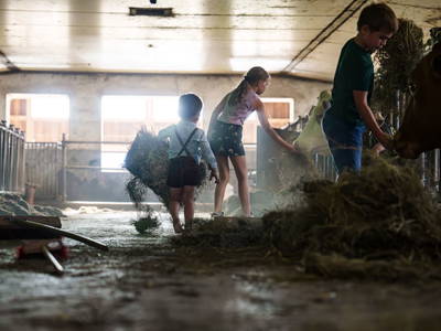 Bild 17 aus  Sinnhubgut