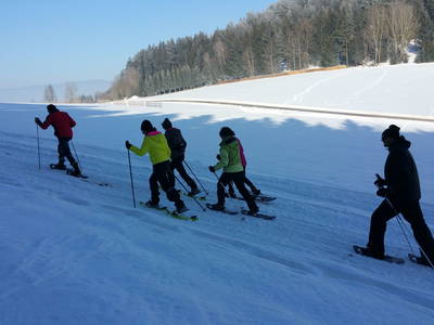 Bild 86 aus  Biohof Stadlbauer