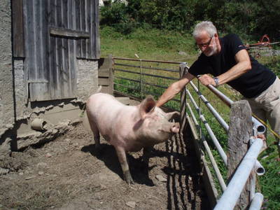 Bild 7 aus  Biobauernhof 'Moar in Greith'