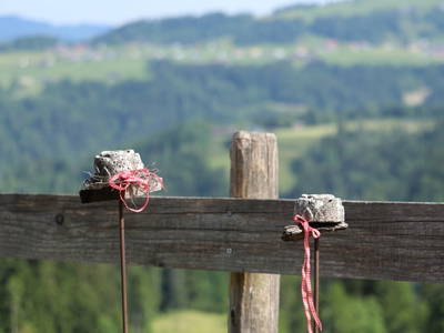 Bild 196 aus  Familienbauernhof Bereuter