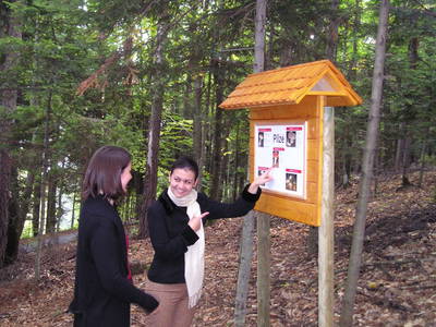 Bild 19 aus  BioBauernhof Sommer