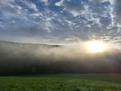 Bild 140 aus  Naturpark Bauernhof Sperl