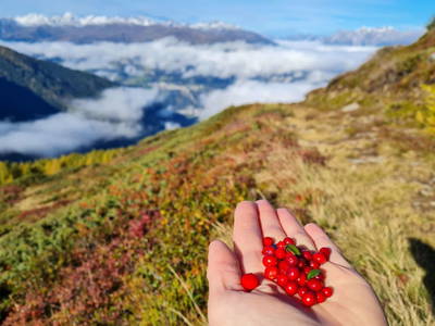 Bild 65 aus  Haus Lentsch