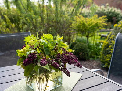 Bild 22 aus  Ferien- und Bauernhof Weiland