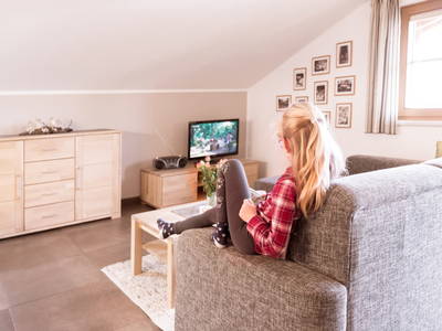 Bild 51 aus  Erbhof Hofer - Haus Pitterl