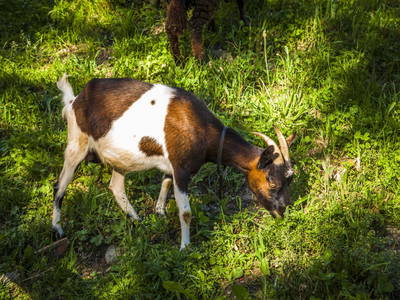 Bild 25 aus  Hansalagut