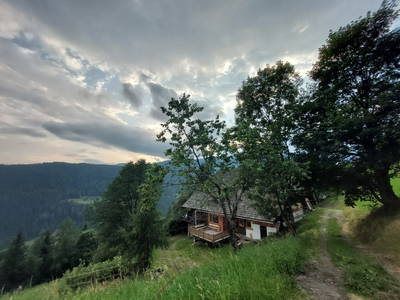 Bild 83 aus  Almhaus Maurer