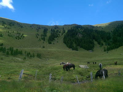 Bild 50 aus  Sportbauernhof Hochalmblick