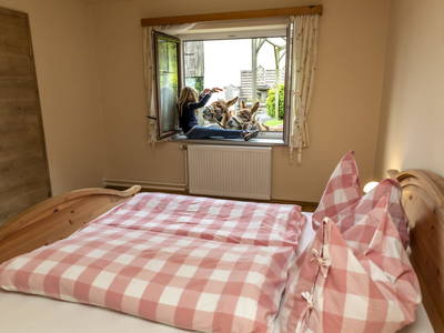 Bild 82 aus  Forstbauer