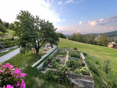 Bild 137 aus  Kleinhofers Himbeernest