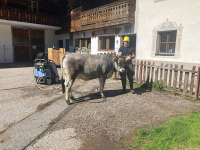 Bild 42 aus  Alfaierhof & Bergheimat