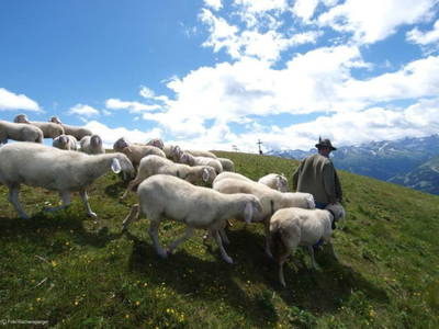 Bild 64 aus  Landhaus Dorfer - Obergollegg