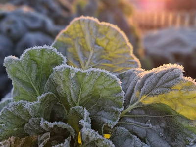 Bild 207 aus  Zehentnerhof