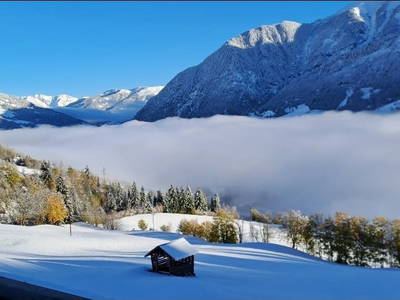 Bild 87 aus  Hartlgut