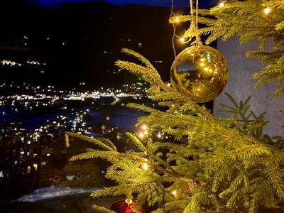 Bild 94 aus  Rieserhof