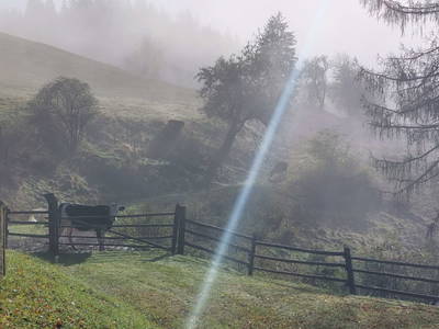 Bild 34 aus  Sank Haus - Alte Mühle