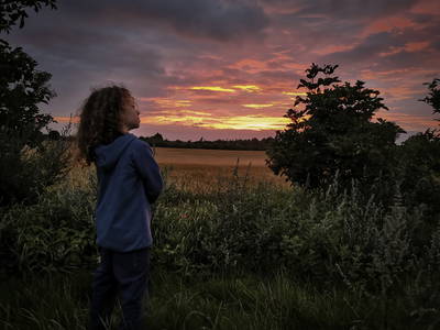 Bild 29 aus  Dambækgaard