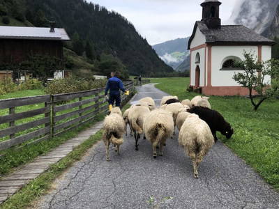 Bild 16 aus  Michelas Hof