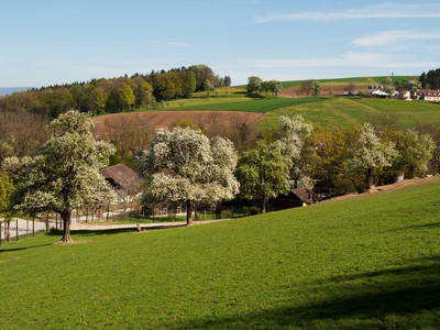 Bild 51 aus Familienhotel Hochrieß