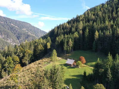 Bild 44 aus  Almhütte Meierle