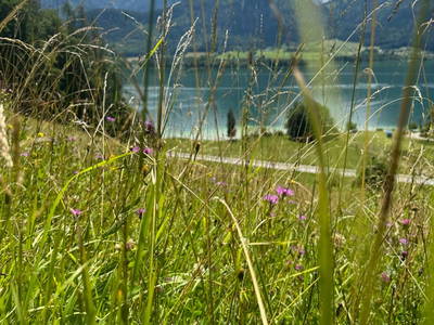 Bild 20 aus Reiterhof Suassbauer