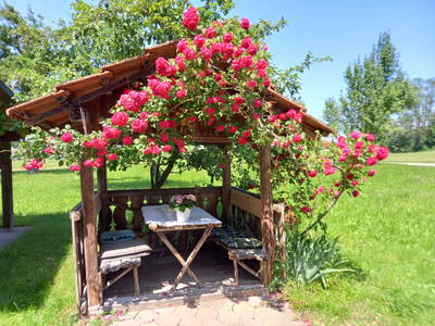 Bild 39 aus  Ferienhof Götschhof am Traunsee