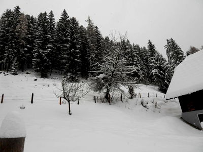 Bild 48 aus Berghütte Reissnerhof