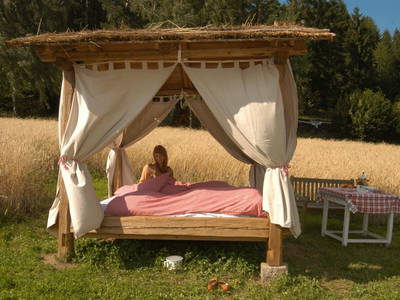 Bild 23 aus  Verwöhnbauernhof im Mühlviertel