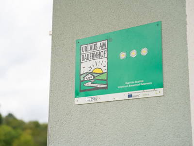 Bild 74 aus  Reiterhof Pfleger