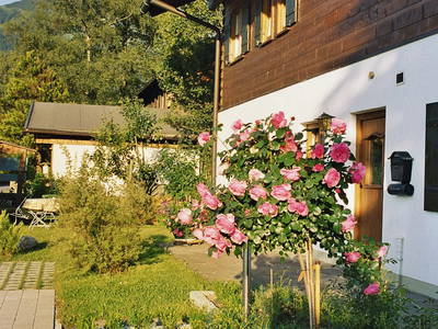 Bild 10 aus  Holzhaus Lang