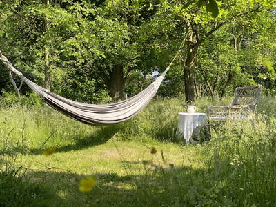 Bild 10 aus  Sande 7