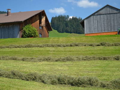 Bild 80 aus  Dorner Hof