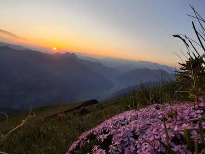 Bild 72 aus  Hoislbauernhütte