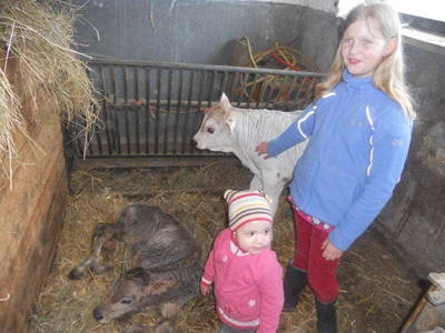 Bild 25 aus  Hanserhof