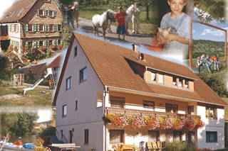 Ferienhof Waldmann - Bild 1