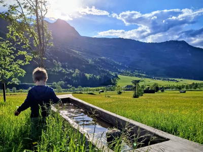 Bild 11 aus  Anderlbauer