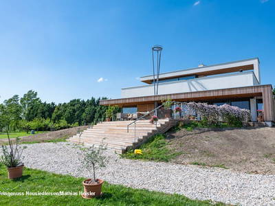 Bild 2 aus  Campus Schrändlsee "out of Vienna"