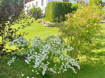 Bild 22 aus  Schlickenhof