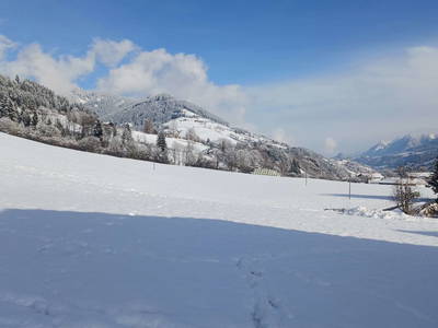 Bild 81 aus  Viehhofgut