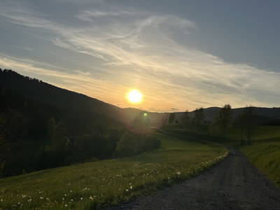 Bild 16 aus Lacknerhof in Liebenfels- Familie Klocker